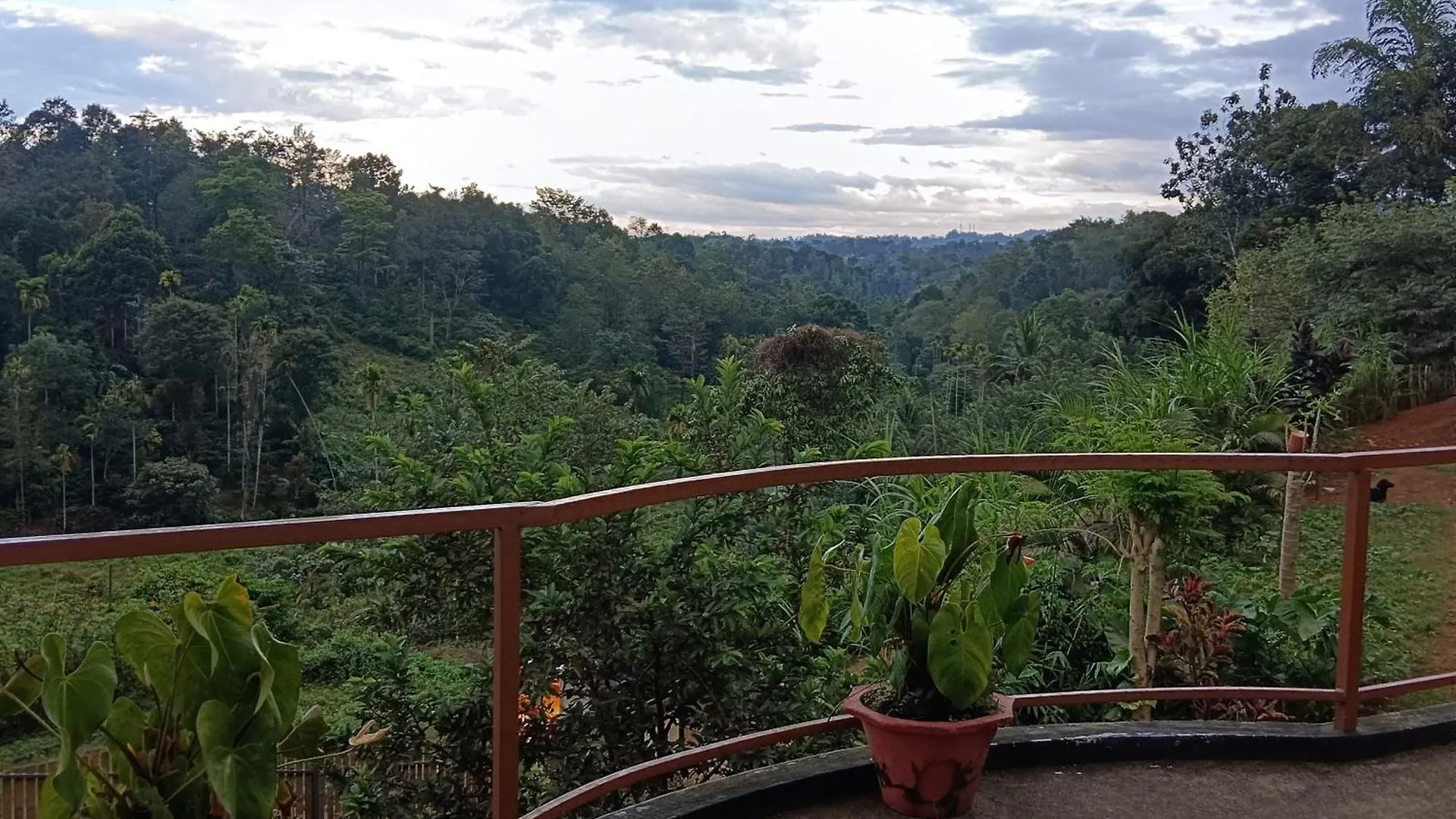 Royal Valley Apartment Service Villa Kalpetta