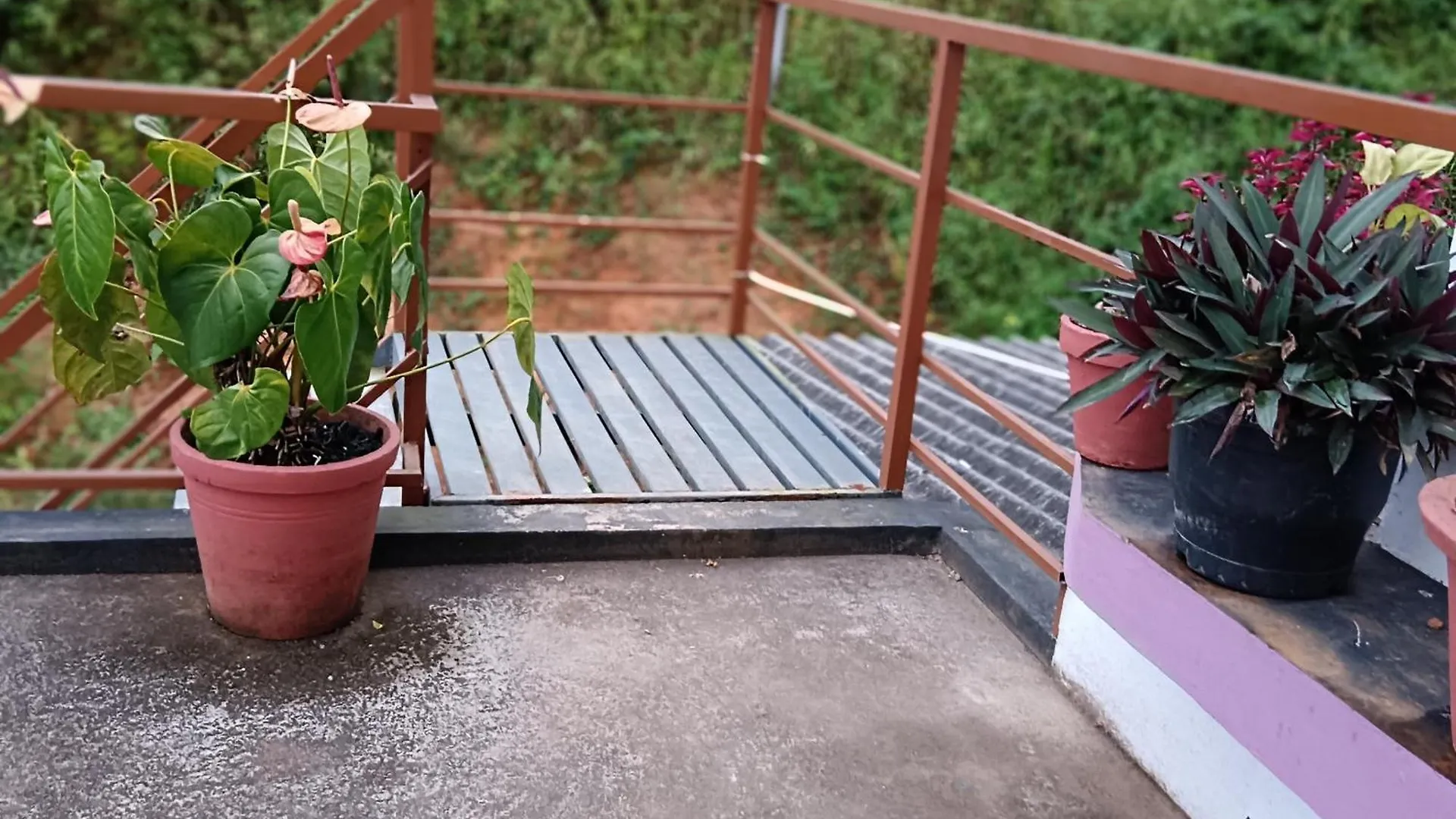 Royal Valley Apartment Service Villa Kalpetta