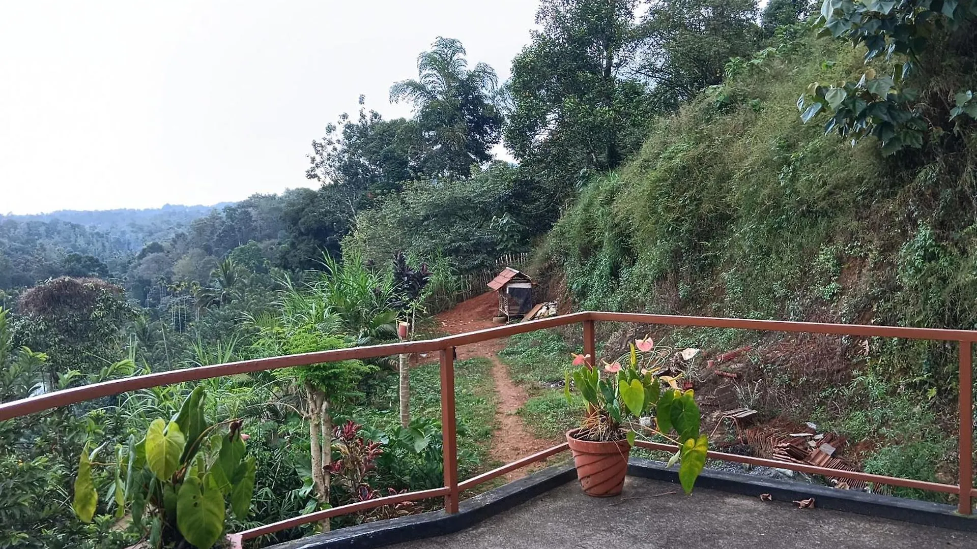 Royal Valley Apartment Service Villa Kalpetta
