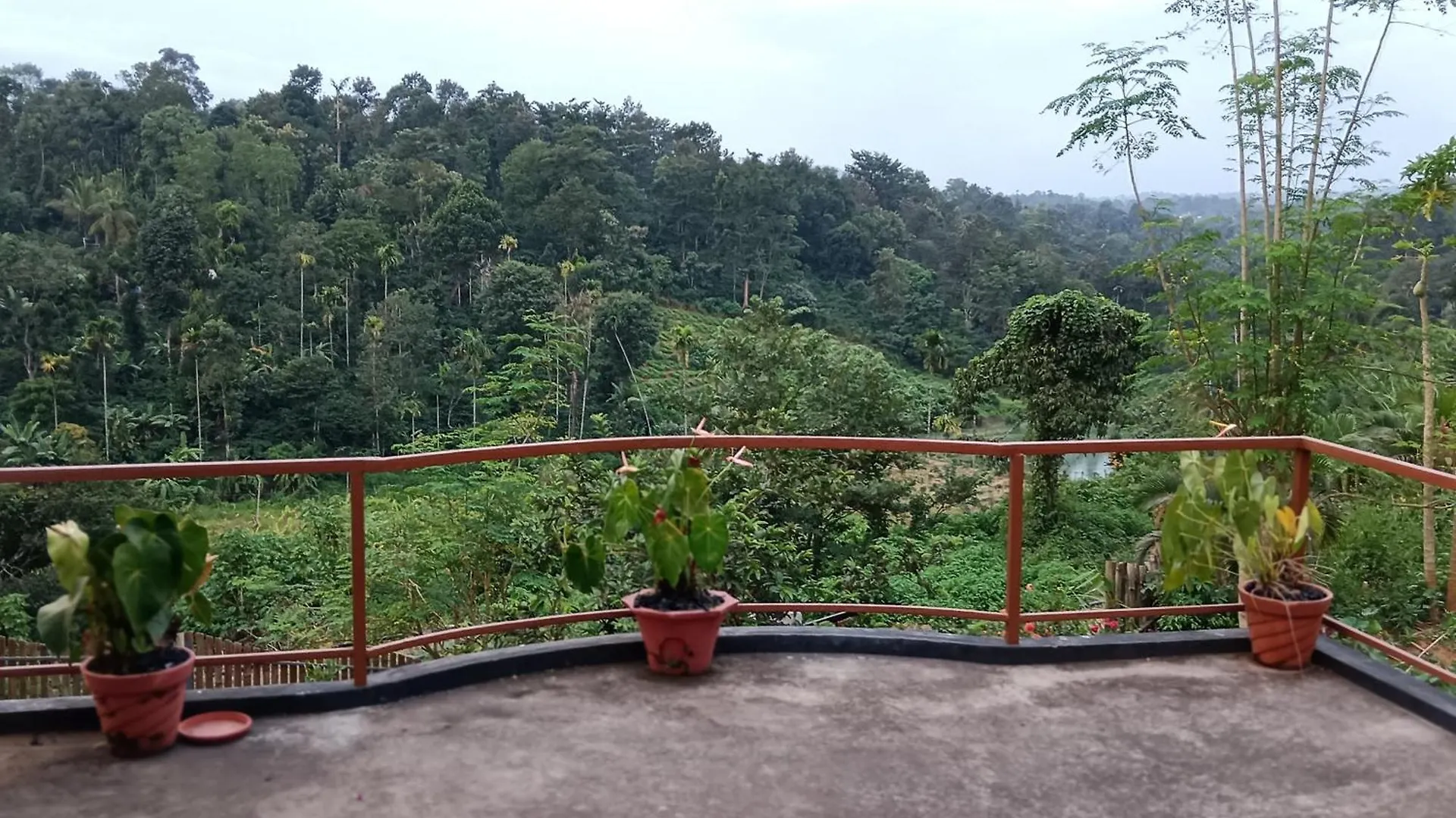 Royal Valley Apartment Service Villa Kalpetta