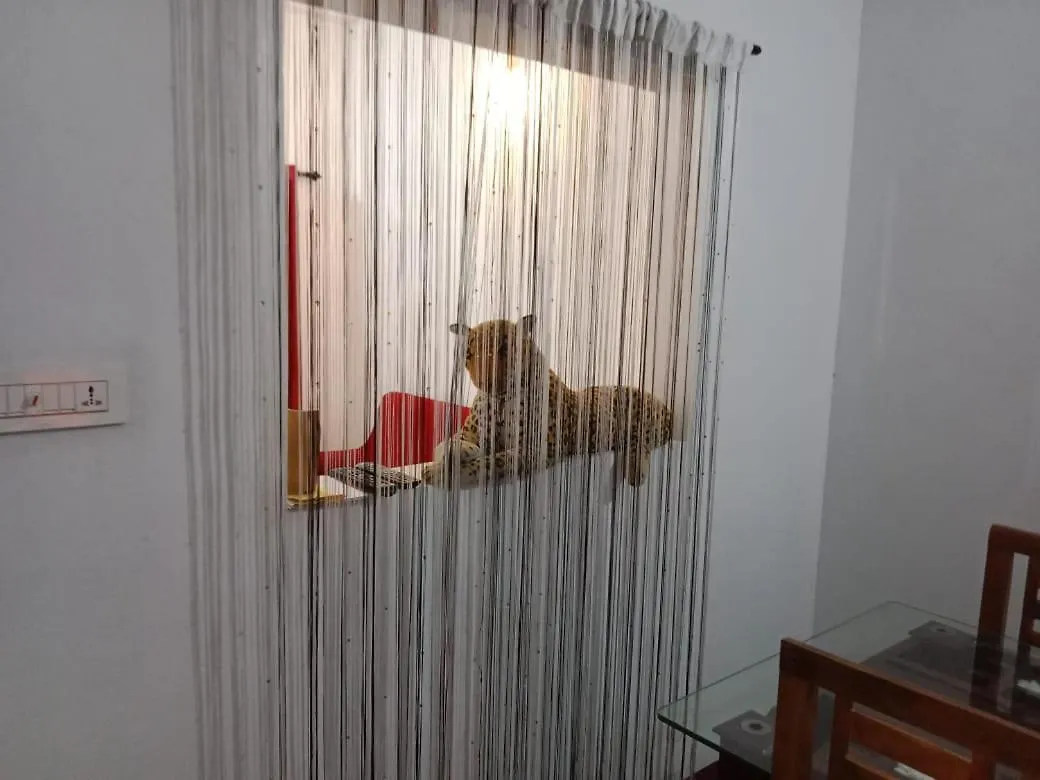 Royal Valley Apartment Service Villa 卡尔佩特塔